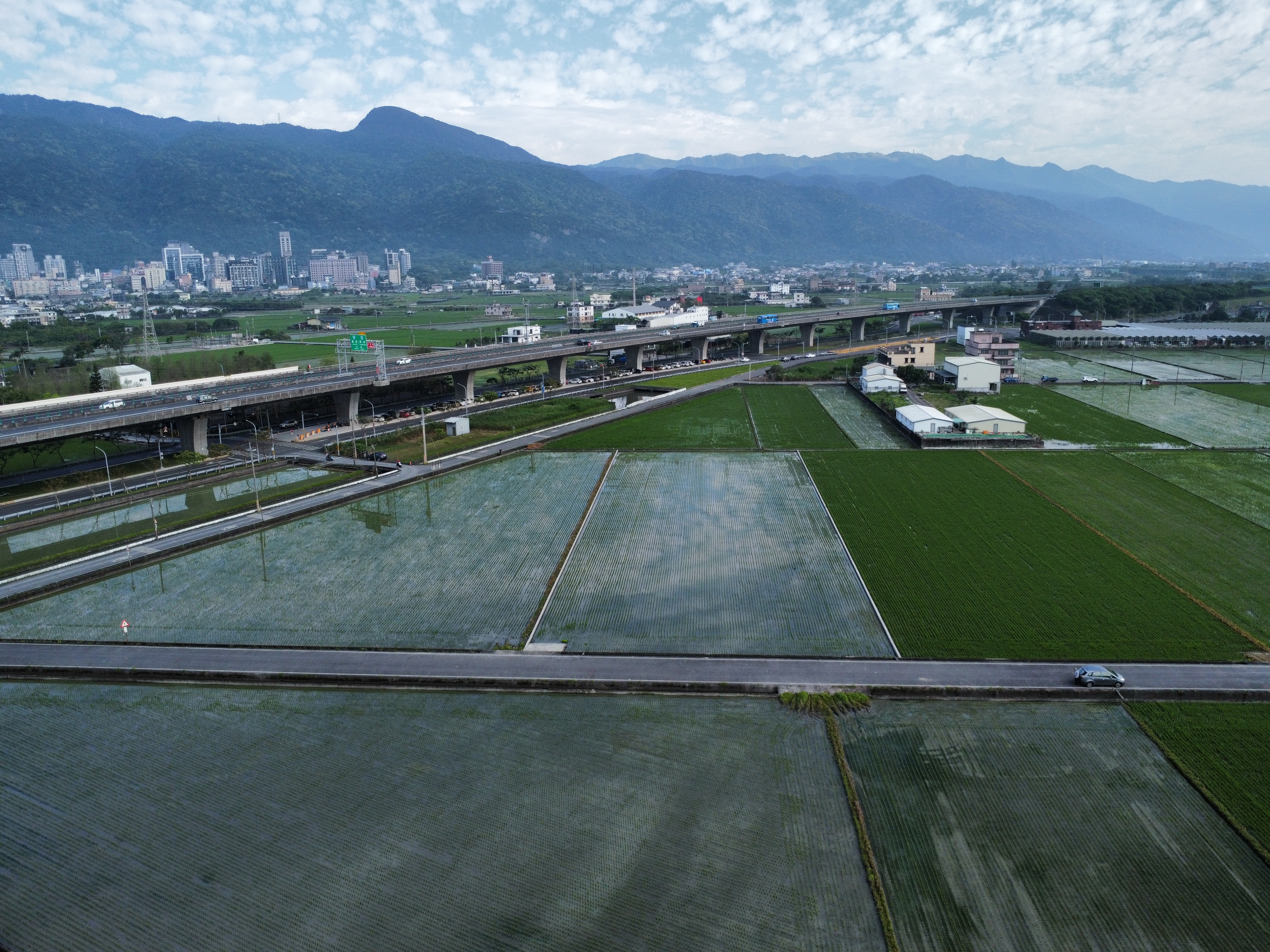 山多利｜金車｜大面寬｜足坪｜可配建｜農地 照片 2