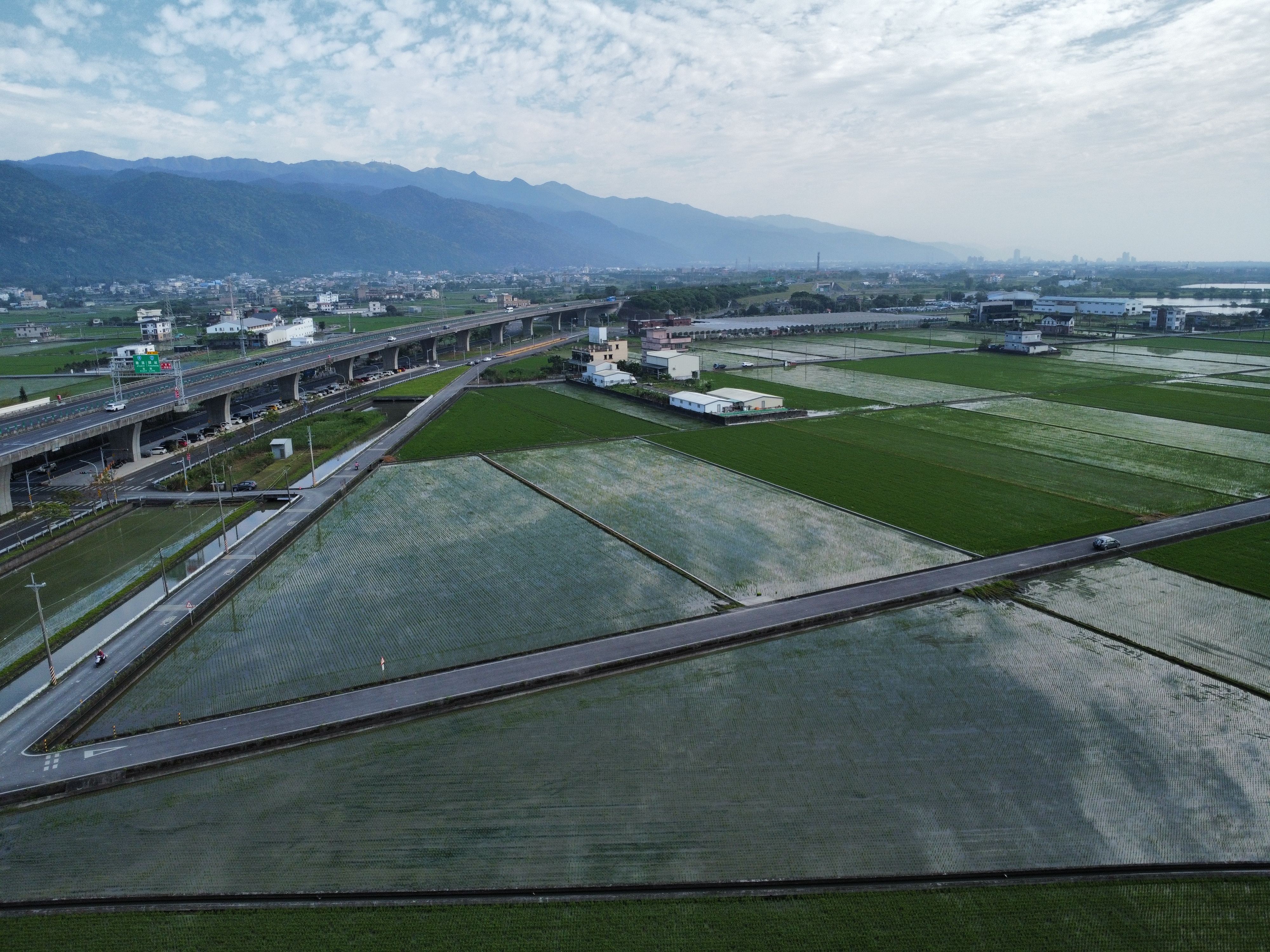 山多利｜金車｜大面寬｜足坪｜可配建｜農地 照片 3