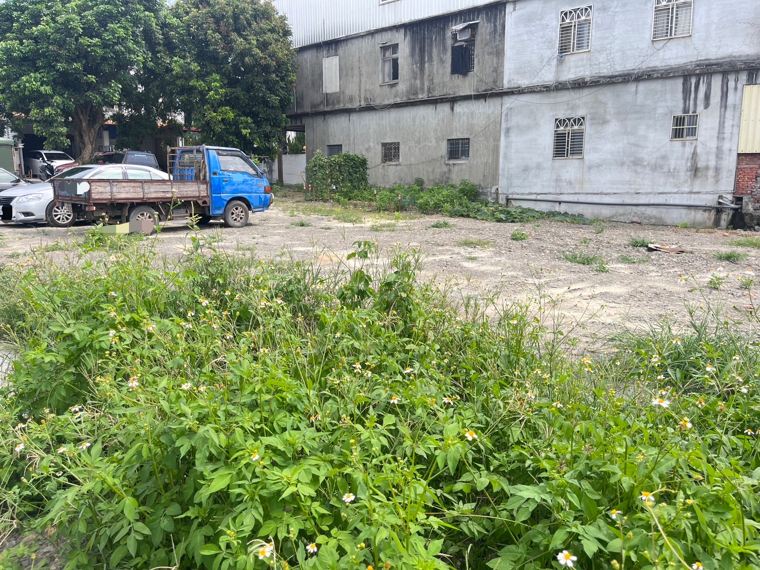 龍潭｜雙面路｜低總價｜建地 照片 4