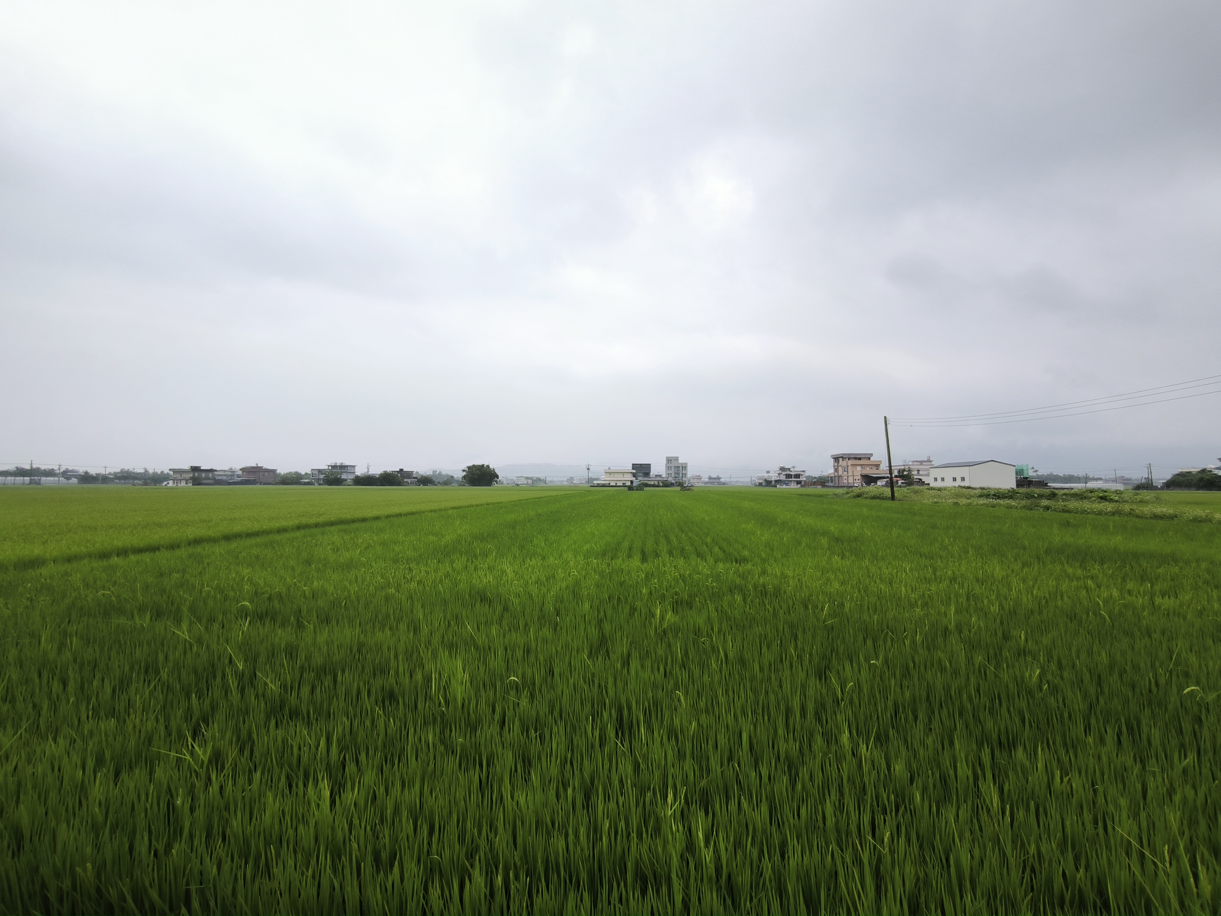 玉田｜退休養生｜足坪農地 照片 2
