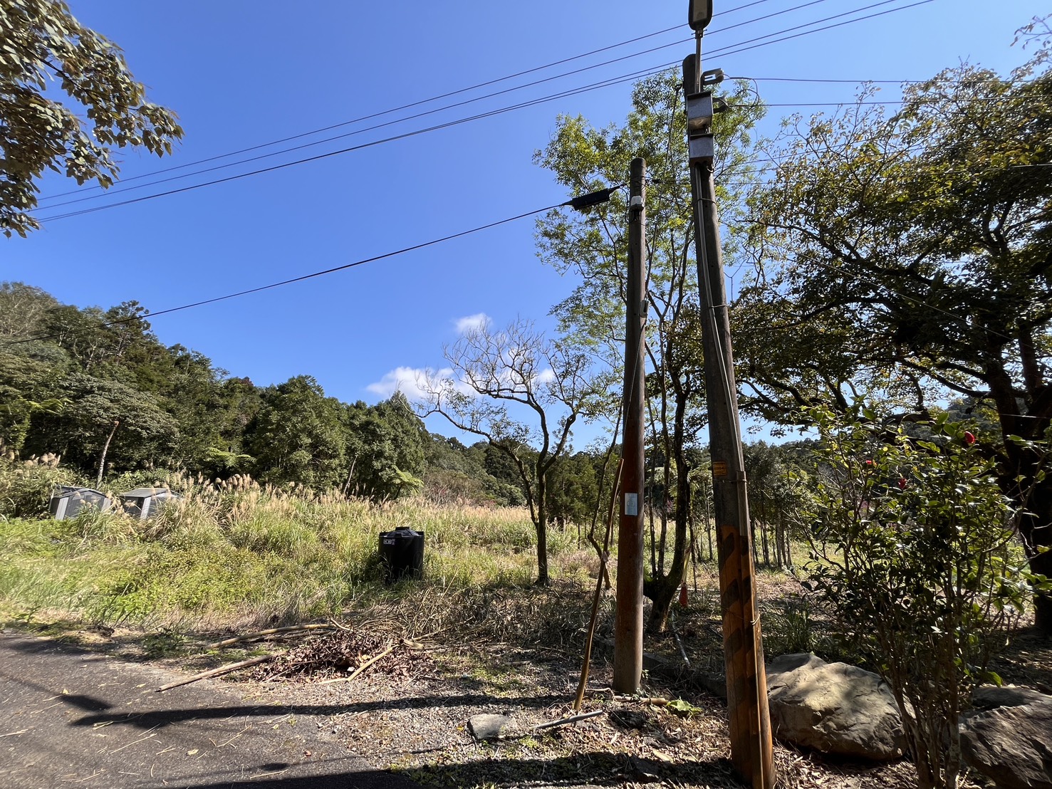 圓通寺｜跑馬古道｜大面寬｜足坪農地 照片 3