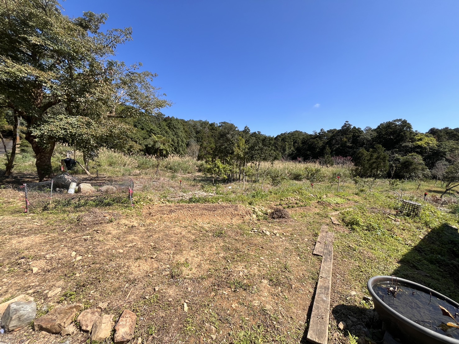 圓通寺｜跑馬古道｜大面寬｜足坪農地 照片 4